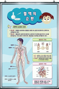 한국건강교육,심폐소생술마네킹