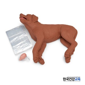 DOG COR 모형,강아지 심폐소생술